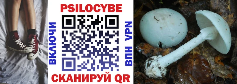 Псилоцибиновые грибы MAGIC MUSHROOMS  купить   hydra как войти  Лахденпохья 
